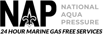 nap-logo-2024
